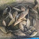 성호좌대 이미지