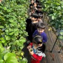 예나농장 이미지