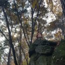 (버스)송탄공단입구 이미지