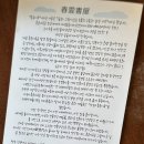 갯마을 진도집 | [travel] 초록이 가득한 세상,보성🍵🍃