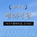 남양세탁 이미지