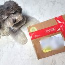 댕키친 네이버블로그