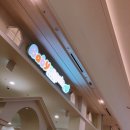 스타키즈 수영장 이미지