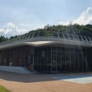 봉평메밀진미식당 이미지