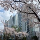 삼산공인중개사사무소 이미지