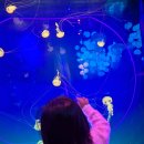 삼성동-24 | 24개월 아기랑 삼성동 코엑스 아쿠아리움 후기, 추운 겨울 실내나들이 추천