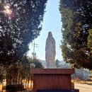 조원동 주교좌성당 앞 | 갈곡리성당 사순 성지순례 후기