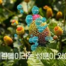 벨라수 네이버블로그