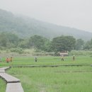 킹콩 게스트 하우스 이미지