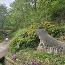 동산꽃화원