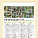 송도힐스테이트 어린이집 이미지