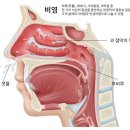 섬기는한의원 네이버블로그