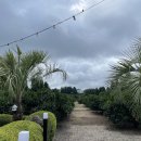 오앤비팜스테이 이미지