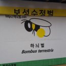 매디팜농원