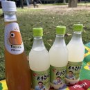 태화강생막걸리 이미지