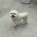 이뻐질개 이미지