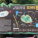 지미돈