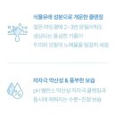 에스헤어 이미지