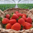 자담농장 이미지