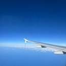 (주)테라케이 | 에어로케이 청주 히로시마 RF386 RF385 기내 술 담배 가격 왕복 후기