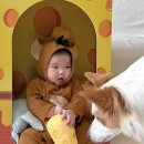 [육아일기]200일 아기 셀프촬영 2탄, 내돈내산 셀프대여, 랑랑베베 솔직후기