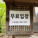 선암사 | 겹벚꽃 명소 추천 순천 조계산 선암사 겹벚꽃 개화 상황 및 방문 후기
