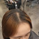 토리헤어송산 이미지