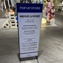 대구 더현대 메종 미네드 팝업 스토어 후기