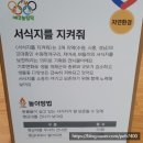 놀이로 배우는 환경 보호, 수원시 기후변화 체험교육관 두드림 탐방기