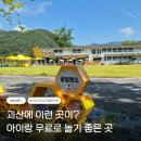 꿀벌 | 괴산 아이와 가볼 만한 곳, 꿀벌랜드 직접 다녀온 후기