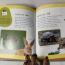 이솝우화