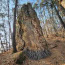 여강길(10-1코스 싸리산길) | 아름다운자연 여강길10-1코스(싸리산길)~10코스(천년도자기길)2026년2월12일