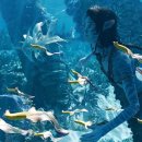 Avatar : The Way of Water 이미지