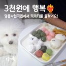낙원떡집 | 수원답례떡 맞춤제작 가능한 영통낙원떡집 솔직 후기!