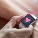 하다 피트니스 이미지