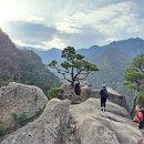 무릉계곡 이미지