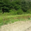 효민농장 이미지