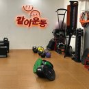 양천향교역 | 양천향교역pt 같이운동 후기 그룹PT로 운동 습관 만들기