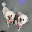 조아 뮤직 복싱클럽 이미지