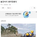 예? 내취향 여시캡쳐 이미지