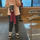 킹콩짐 - 남구 황령대로319번가길 137 | 헬킹콩 물병 가방 후기, 헬스장 가방으로 딱 좋은 마그네틱 보틀 파우치