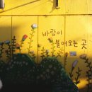 바람이불어오는곳 이미지