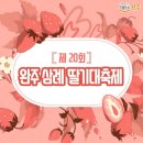 완주 제20회 완주삼례 딸기대축제 이미지