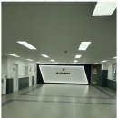 교동태권도 이미지