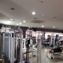 부산챔프복싱 이미지