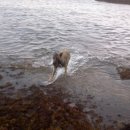 김상문농장 이미지