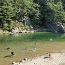 8월 8~9일(토, 일) 삼척 내평계곡+장호항 물놀이하고 내평 캠핑장 대형 방갈로에서 1박(방갈로내 욕실 구비)합니다 이미지