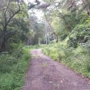 개곡2리 마을회관 이미지