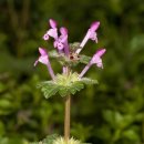 금창초교 이미지