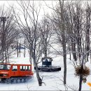 포레스타호텔 이미지